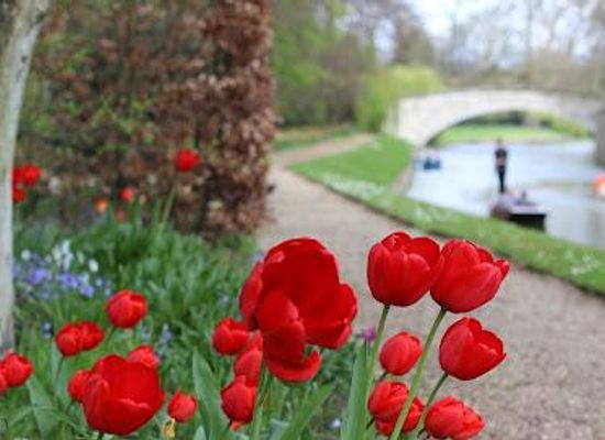 united-kingdom/cambridge/attraction/queens-college