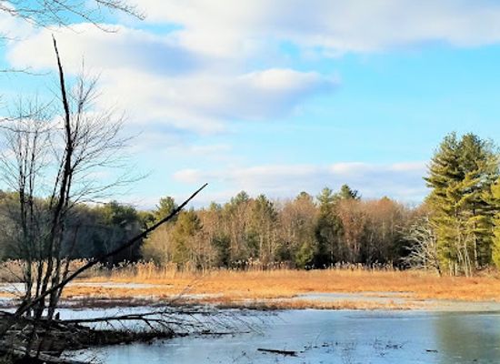rhode-island/blackstone-valley/attraction/audubon-fort-wildlife-refuge