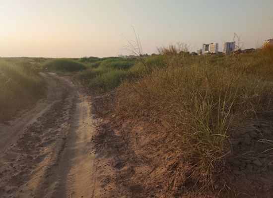 laos/mekong-river-valley/attraction/mekong-riverside-walk