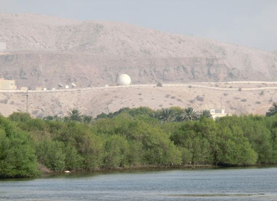 oman/muscat/qurum/attraction/mangrove-of-qurum