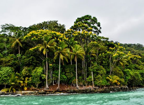 colombia/insular-region/attraction/natural-gorgona-national-park