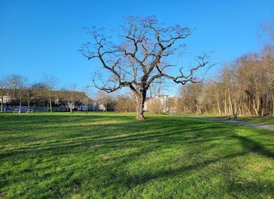germany/cologne/attraction/hiroshima-nagasaki-park