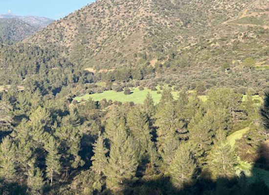 cyprus/pano-lefkara-village/attraction/kyprovasa
