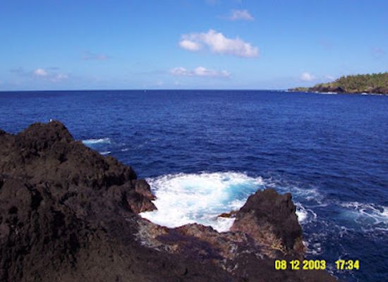 american-samoa/tutuila/attraction/turtle-and-shark