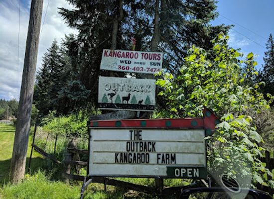 washington/deception-pass-state-park/attraction/the-outback-kangaroo-farm