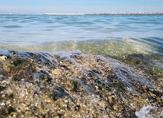 kuwait/jahra/attraction/sea-side-walk