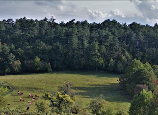 slovenia/gorizia/attraction/respiro-harley