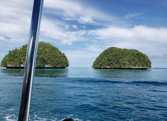 palau/ngeruangel/attraction/sam-s-tours-palau