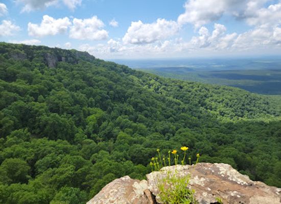 arkansas/timberlands/attraction/mount-magazine-state-park