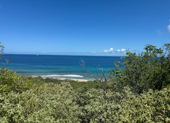 british-virgin-islands/virgin-gorda-peak/attraction/99-steps-trailhead