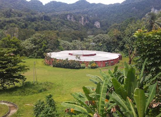 puerto-rico/greater-antilles/attraction/bosque-estatal-de-rio-abajo