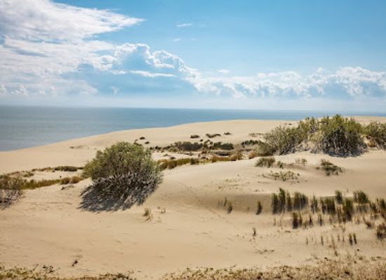 lithuania/curonian-spit-national-park/attraction/vysota-efa