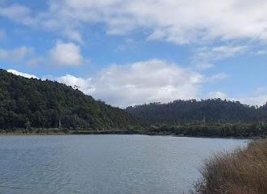 new-zealand/fox-glacier/attraction/okarito