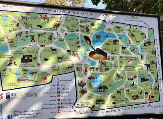 egypt/cairo/attraction/giza-zoo