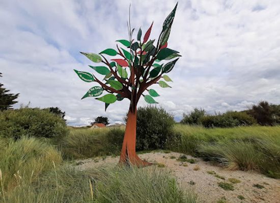 france/normandy-beaches/attraction/arbre-de-la-liberte