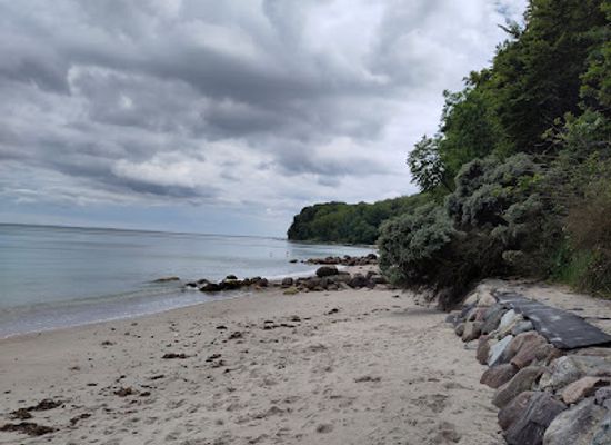 denmark/east-jutland/landmark/gyngetra-ud-over-havet