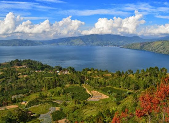 indonesia/lake-toba/attraction/samosir-botanical-garden