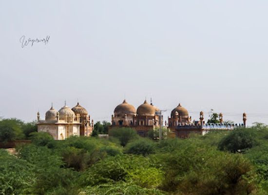 pakistan/cholistan-desert/attraction/royal-graveyard
