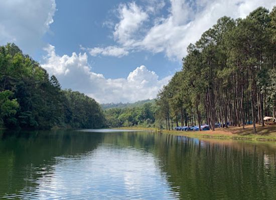 thailand/mae-hong-son/attraction/pang-tong-royal-forest-park-project-2-pang-oung