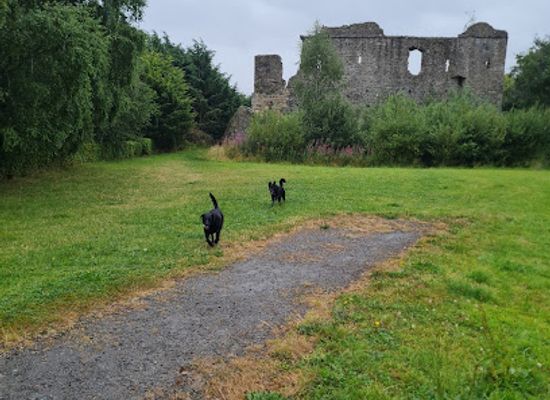 ireland/county-wicklow/attraction/kindlestown-castle