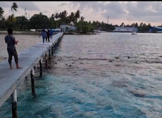 maldives/thulusdhoo/attraction/naafi-jetty