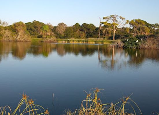 florida/sun-coast/attraction/venice-area-audubon-society