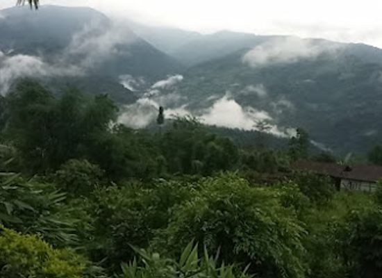bhutan/western-bhutan/attraction/dhawley-paren-forest-busty