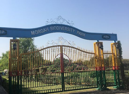 pakistan/rawalpindi/attraction/morgah-biodiversity-park