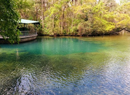 florida/central-florida/attraction/ellie-schiller-homosassa-springs-wildlife-state-park