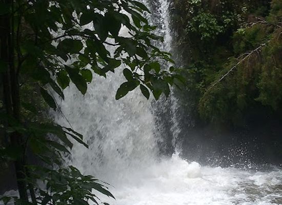 tanzania/mount-kilimanjaro/attraction/kilimanjaro-water-fall-s
