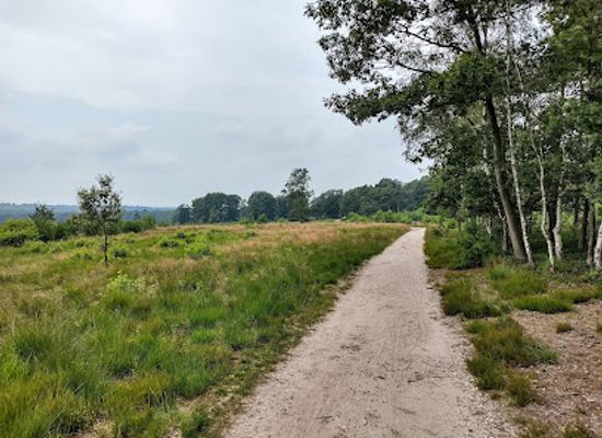 netherlands/hoge-veluwe-national-park/attraction/schenkenshul