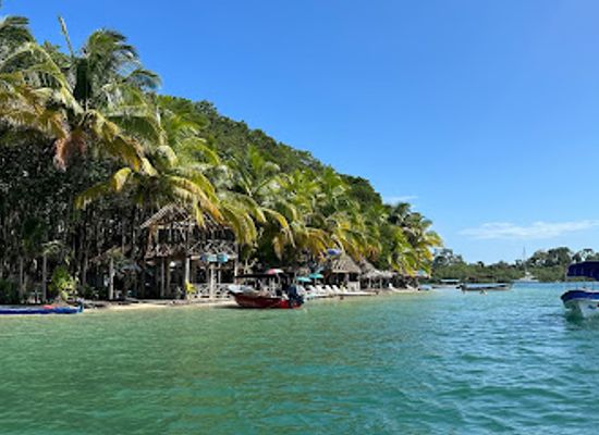 panama/bocas-del-toro/attraction/starfish-beach