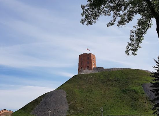 lithuania/aukstaitija/attraction/vytautas-kasiulis-art-museum