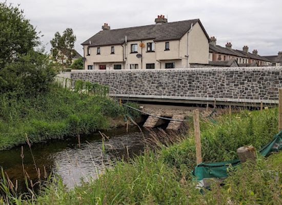 ireland/athlone/attraction/the-big-meadow-walkway