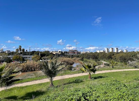 israel/tel-aviv/attraction/palm-viewpoint