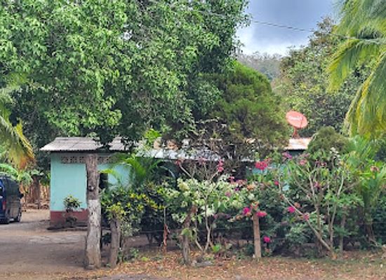 nicaragua/ometepe-island/attraction/finca-la-paguada