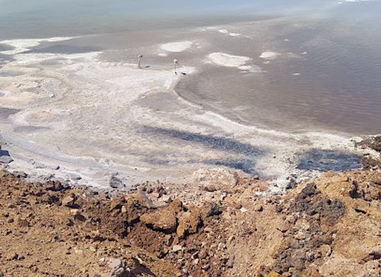 india/rann-of-kutch/attraction/ak-farm-house