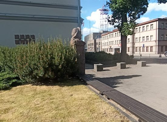 lithuania/panevezys/attraction/gabrieles-petkevicaites-bites-biustas