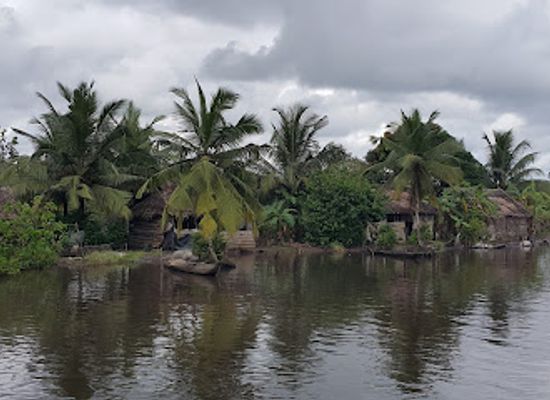 nigeria/ijaw/attraction/edumanom-national-forest