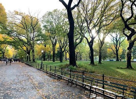 new-york/new-york-city/attraction/the-mall
