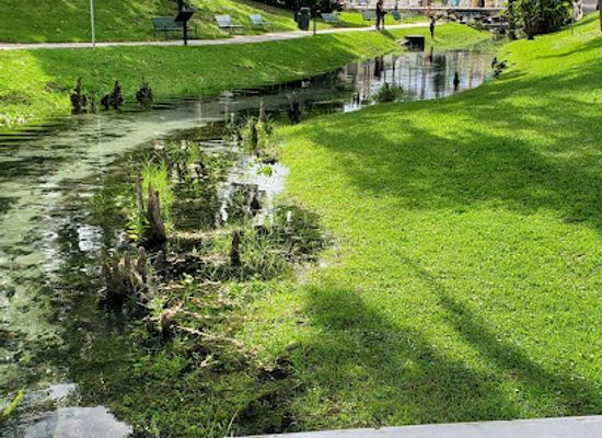 florida/first-coast/attraction/green-cove-springs