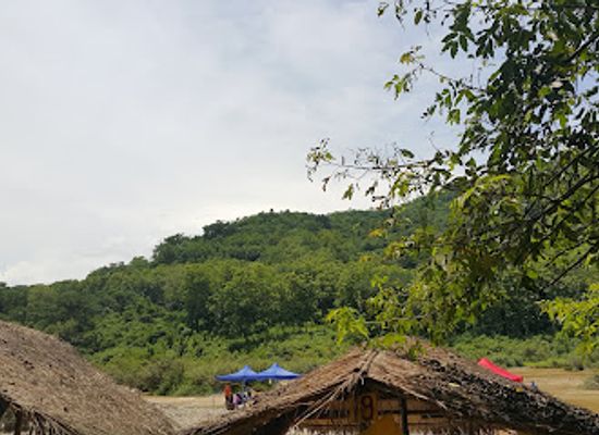 laos/xieng-khouang-plateau/attraction/henri-mouhot-grave