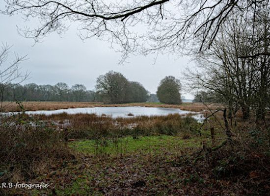 netherlands/drenthe/attraction/boswachterij-gees