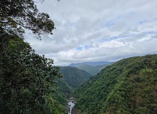 australia/cairns/attraction/barron-gorge-national-park