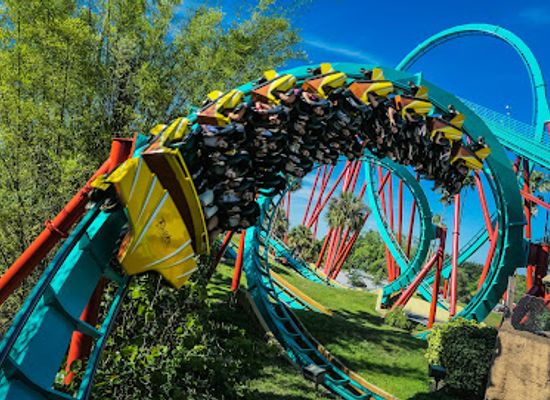 florida/tampa-bay-area/attraction/kumba