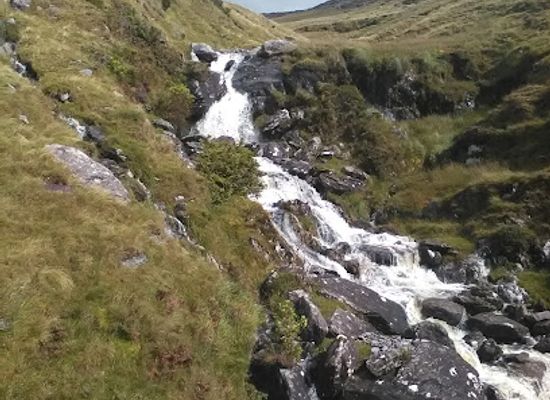 ireland/mizen-head/attraction/the-ewe-experience