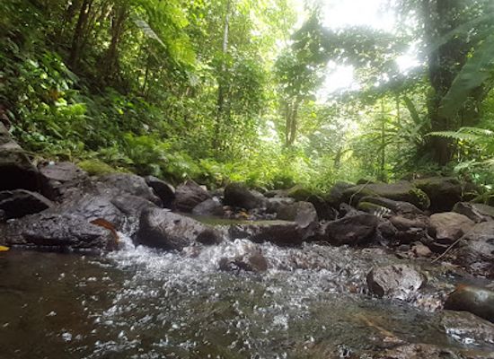 micronesia/nan-madol/attraction/sahwartik-waterfall