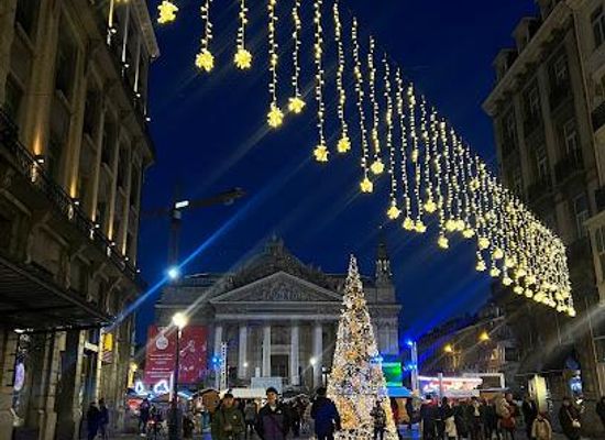 belgium/brussels/attraction/christmas-market-of-sint-katelijneplein