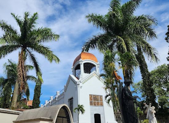 colombia/los-llanos/attraction/cementerio-museo-san-pedro