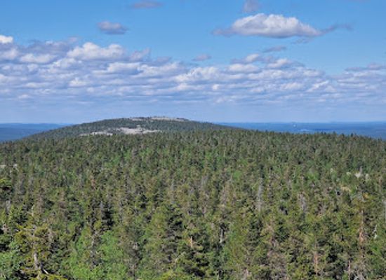 finland/lapland/attraction/ukko-luosto-scenic-hut-day-use-hut